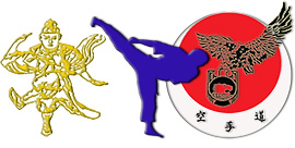 Вибір школи бойових мистецтв
